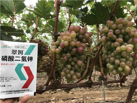 進(jìn)口水溶肥，拉姆拉