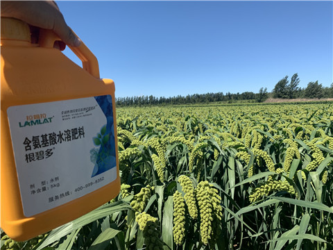 磷酸二氫鉀，拉姆拉，翠姆
