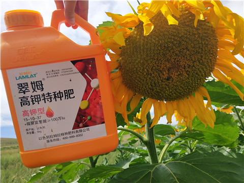 進(jìn)口水溶肥，拉姆拉