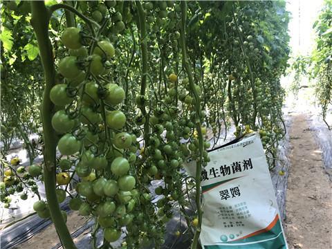 微生物菌劑，磷酸二氫鉀，翠姆，拉姆拉