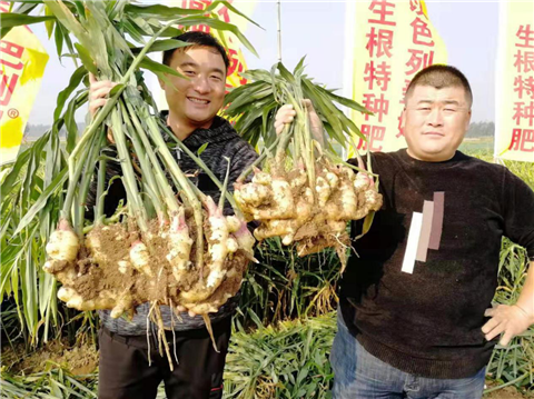 水溶肥，翠姆，拉姆拉