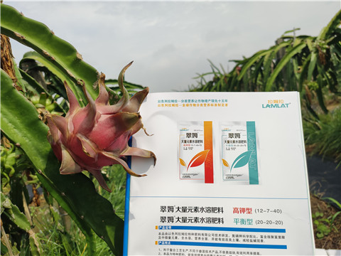 進(jìn)口水溶肥，拉姆拉，翠姆