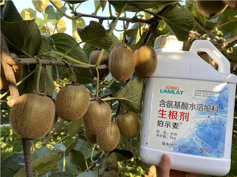 水溶肥，拉姆拉