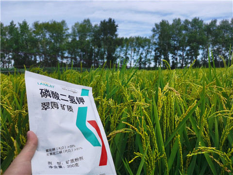 磷酸二氫鉀，拉姆拉，翠姆