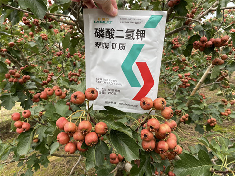 磷酸二氫鉀，拉姆拉，翠姆