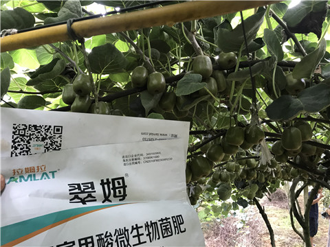 微生物菌劑，平衡顆粒復(fù)合肥，翠姆，拉姆拉