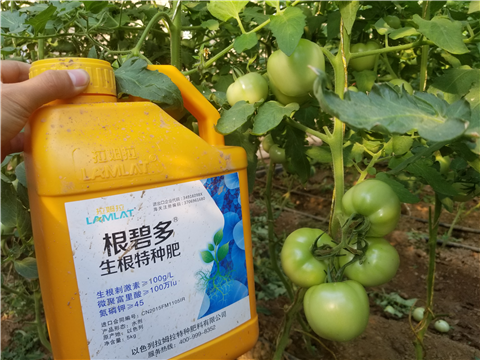 葉面肥，磷酸二氫鉀，微生物菌劑，翠姆，拉姆拉