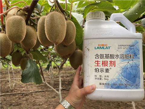 水溶肥，生根劑，微生物菌劑，伯示麥，拉姆拉