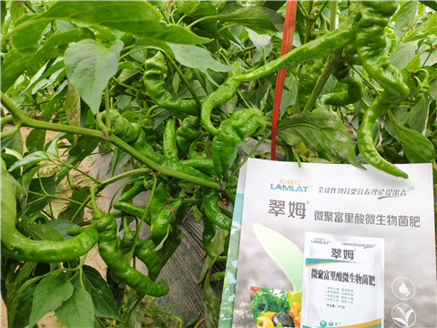 水溶肥，拉姆拉