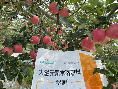 水溶肥，大量元素水溶肥，翠姆，拉姆拉