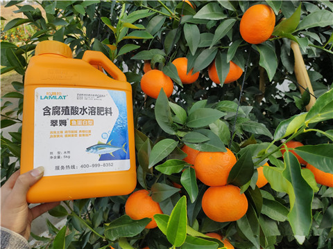 滴灌肥，拉姆拉，翠姆