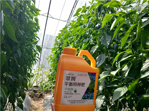 滴灌肥，拉姆拉，翠姆