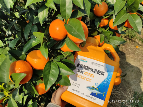 水溶肥，拉姆拉，翠姆