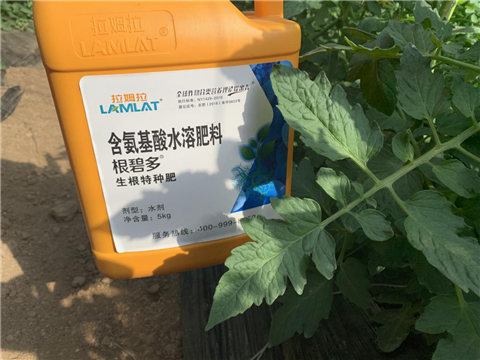 水溶肥，拉姆拉，翠姆
