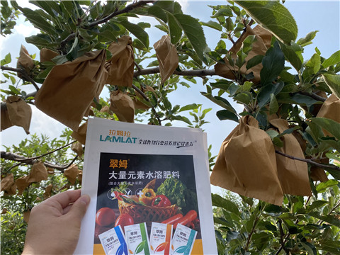 大量元素水溶肥，拉姆拉，翠姆
