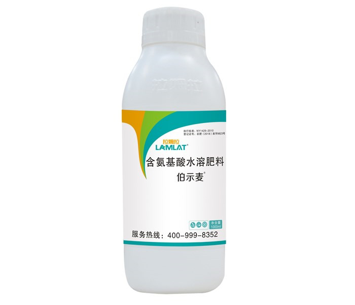 葉面肥，拉姆拉，伯示麥