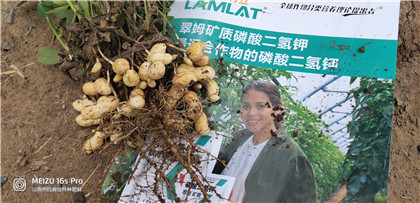 水溶肥,復合肥