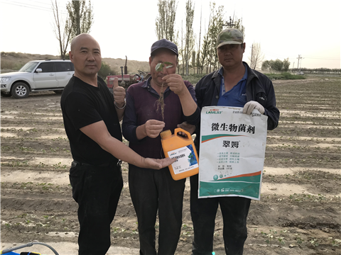水溶肥，拉姆拉，翠姆
