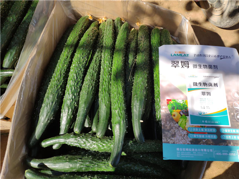 微生物菌劑，拉姆拉，翠姆