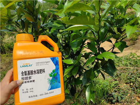 沖施肥，拉姆拉，翠姆