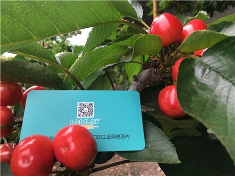 大量元素水溶肥，拉姆拉，翠姆