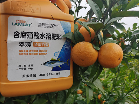 水溶肥，拉姆拉，翠姆