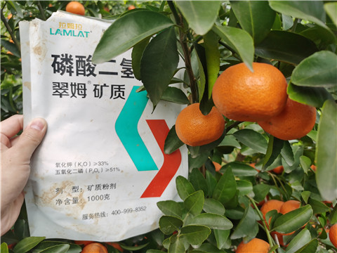 水溶肥，拉姆拉，翠姆
