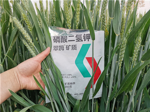 葉面肥，水溶肥，磷酸二氫鉀