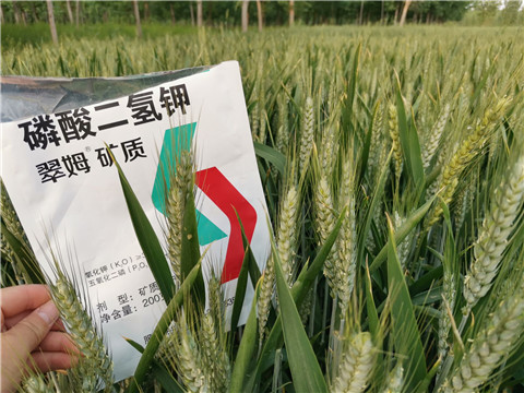 葉面肥，水溶肥，磷酸二氫鉀