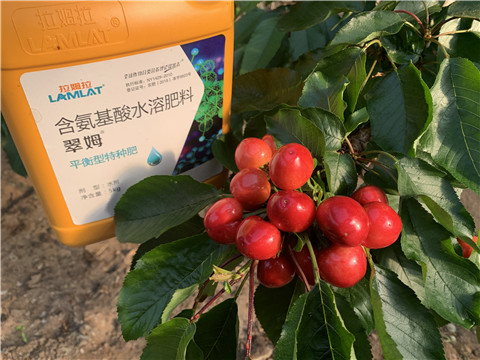 氨基酸水溶肥，拉姆拉，翠姆