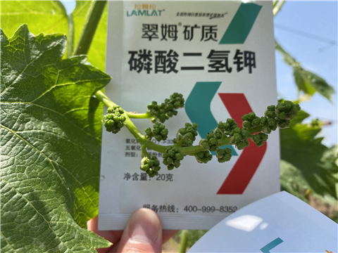 磷酸二氫鉀，拉姆拉，翠姆
