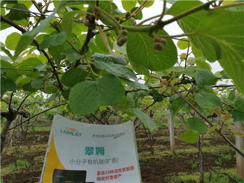 小分子有機(jī)碳，拉姆拉，翠姆