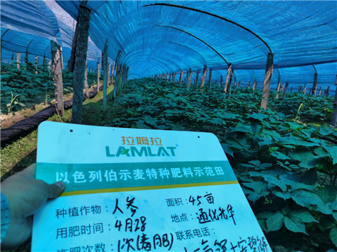 水溶肥，拉姆拉，翠姆