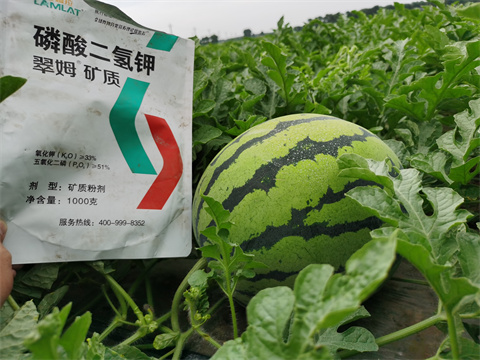 水溶肥，翠姆，拉姆拉