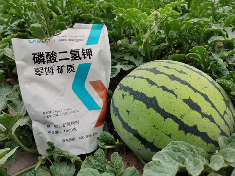 水溶肥，翠姆，拉姆拉